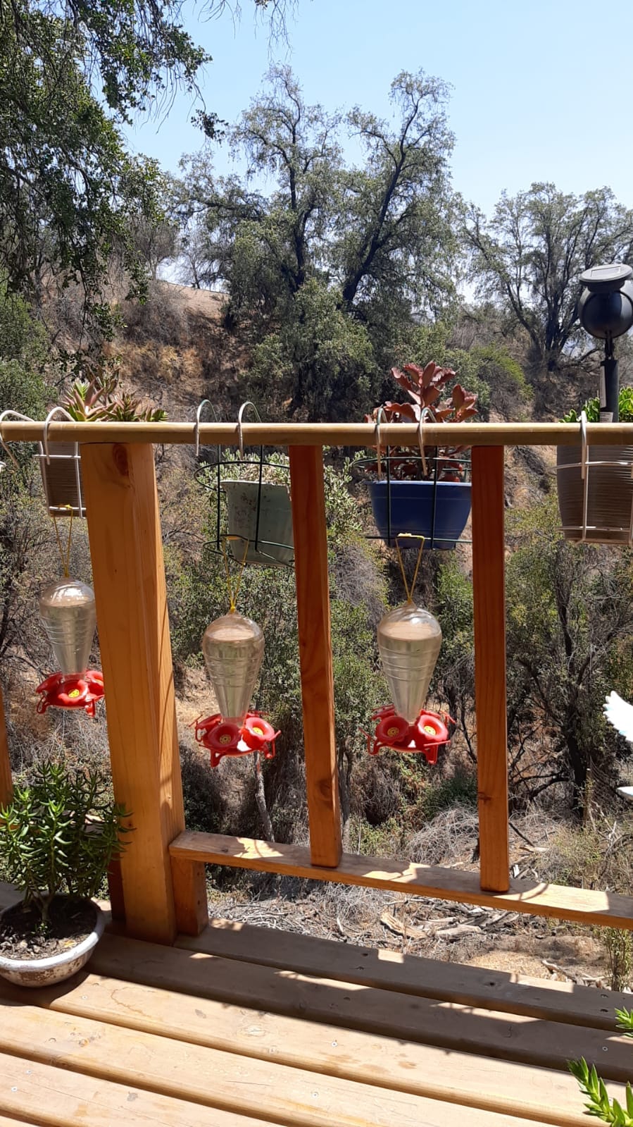 PHOTO-2023-10-30-20-39-52