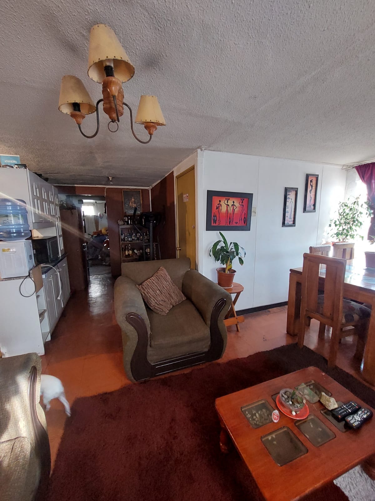 PHOTO-2023-11-01-16-27-30_1