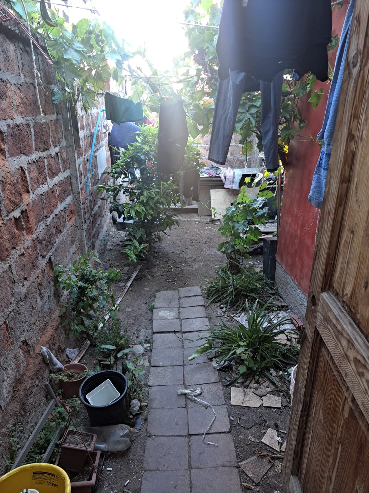 PHOTO-2023-12-06-19-26-07_1